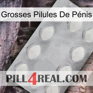 Grosses Pilules De Pénis 16